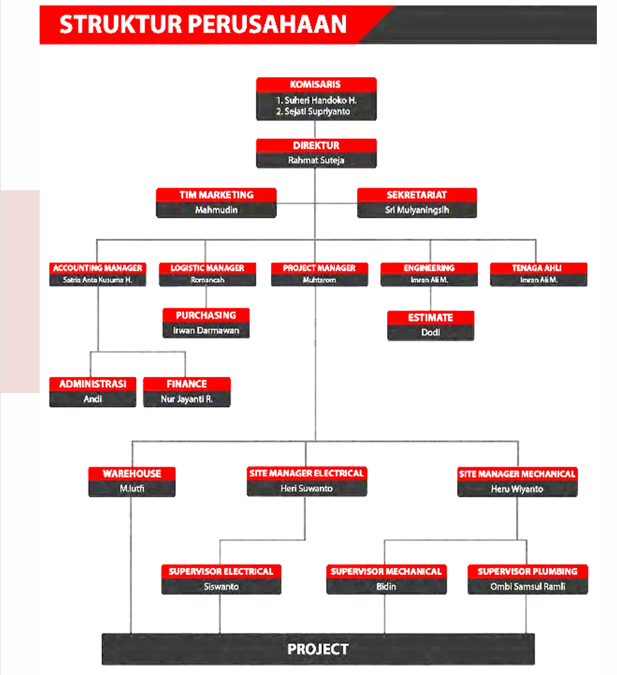 Organization Structure